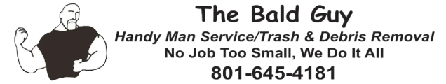 The Bald Guy
